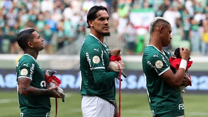 Jogadores do Palmeiras com cachorrinhos