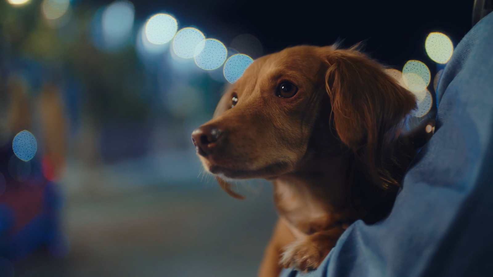 Campanha do Novo Chevrolet Tracker reforça os atributos de segurança e tecnologia